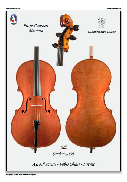 Cello back and side