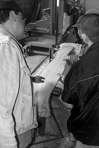 Maple sawmill work (Lavorazione in segheria di un acero campestre)