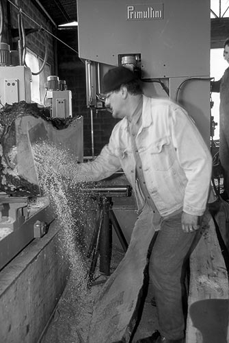 Maple sawmill work (Lavorazione in segheria di un acero campestre)