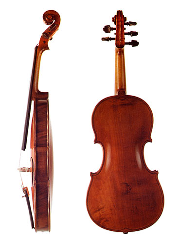 Five strings side and back